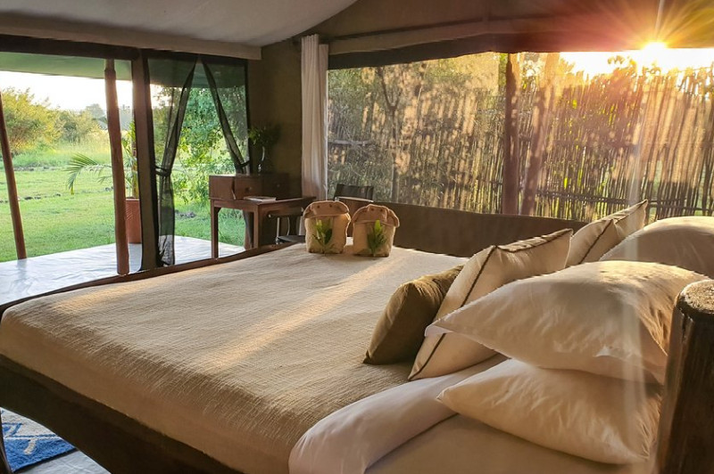 Offbeat Mara Camp, Tent - image 3