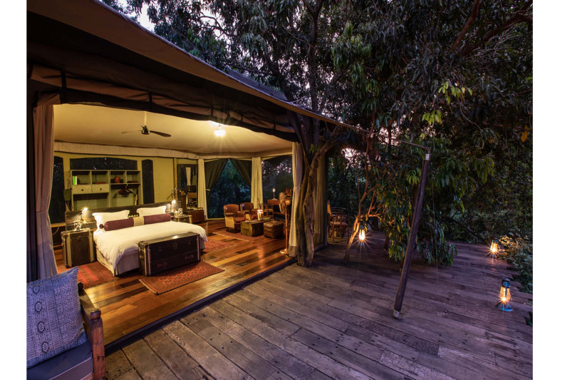 Great Plains Mara Plains Camp, Suite - image 2