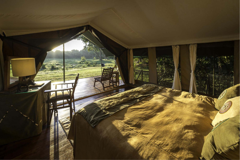 Little Governors’ Camp, Tent - image 2