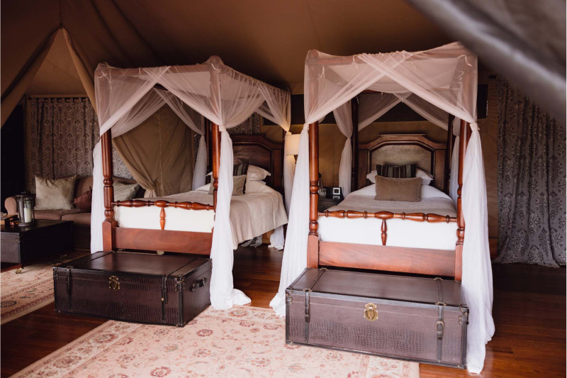 Elewana Sand River Mara, Family Tent - image 2
