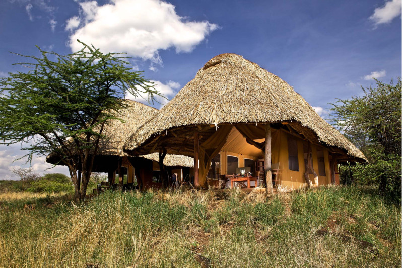 Elewana Lewa Safari Camp, Family Tent - image 1
