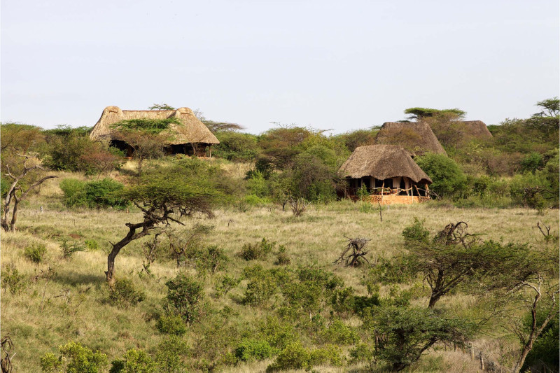 Elewana Lewa Safari Camp, Safari Tent - image 2