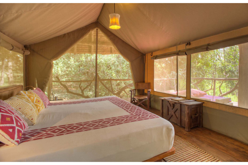 Basecamp Masai Mara, Honeymoon Tents - image 1
