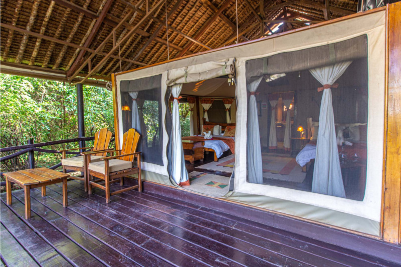 Tipilikwani Mara Camp, Tent - image 1