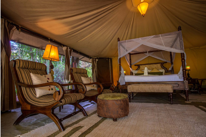 Mara Ngenche Camp, Tent - image 2