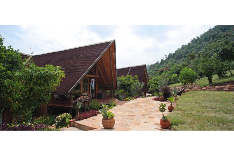 Cottar's Bush Villa, Bush Villa, 6 Guests - image 1