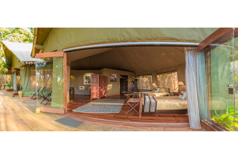 Sala's Camp, Forest Family Tent (3a) - image 1