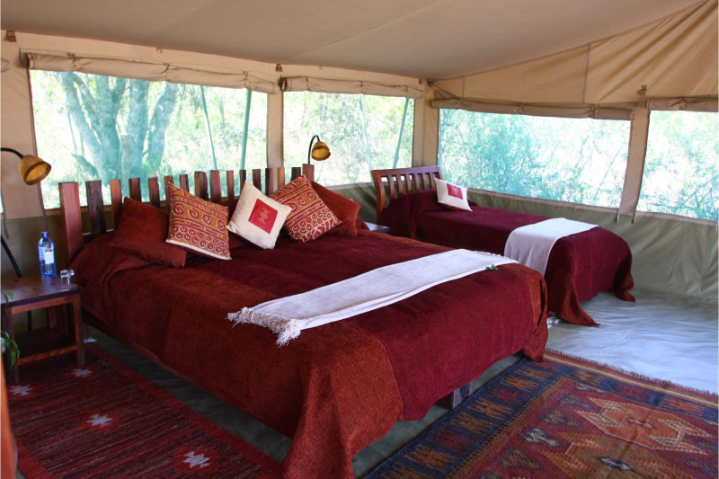 Kicheche Laikipia, Luxury Tent - image 3