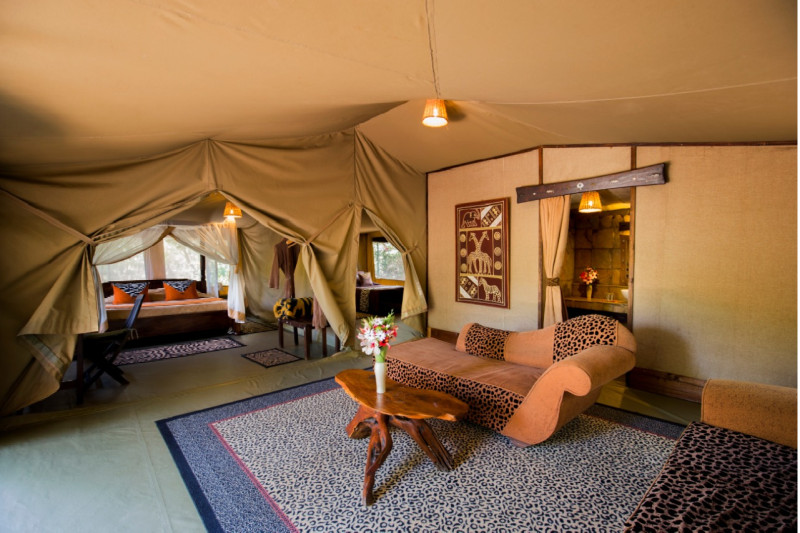 The Rhino Watch Lodge, Family Tent, max 4 guests - image 2