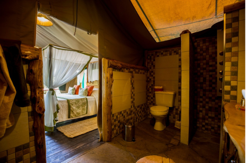 The Rhino Watch Lodge, Family Tent, max 4 guests - image 3