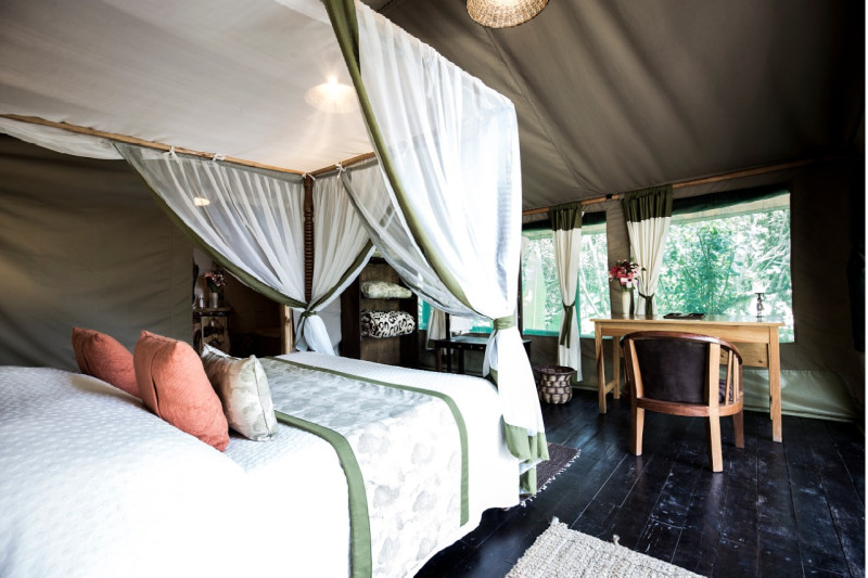 The Rhino Watch Lodge, Tent - image 3