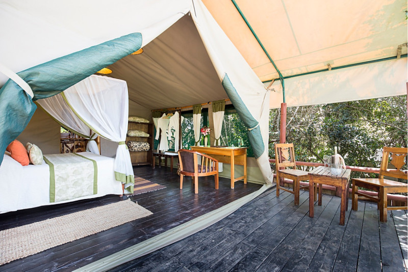 The Rhino Watch Lodge, Tent - image 1