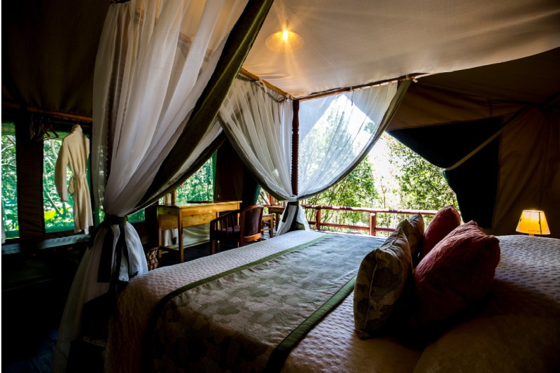 The Rhino Watch Lodge, Tent - image 2