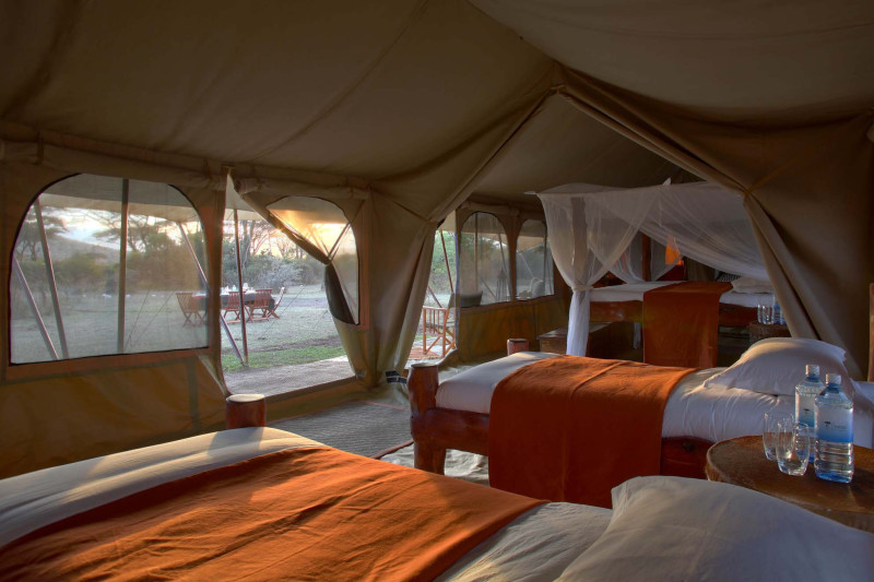 Saruni Wild, Luxury Family Tent, up to 4 guests - image 3