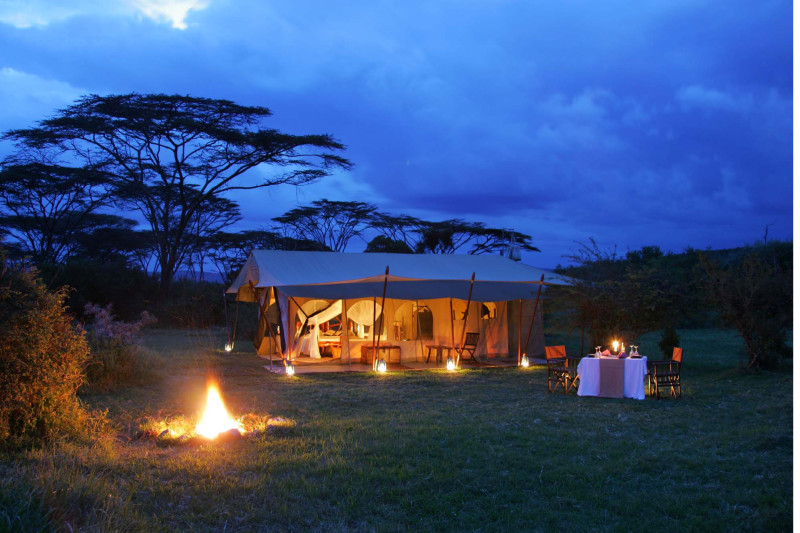 Saruni Wild, Luxury Tent - image 1