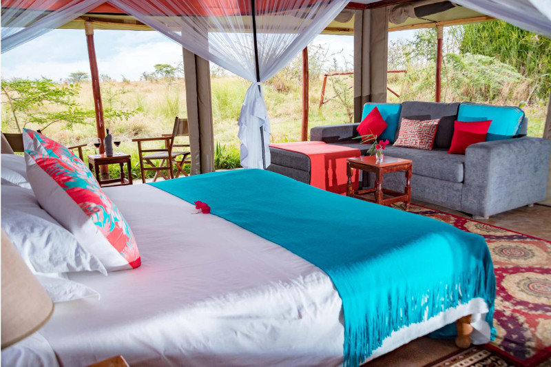 Zebra Plains Mara Camp, Tent - image 1