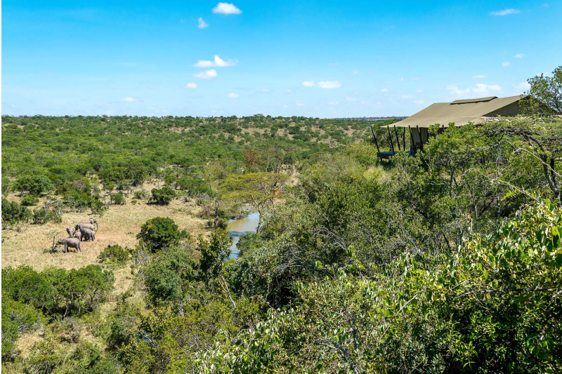 Mutara Camp, Luxury Tent - image 1
