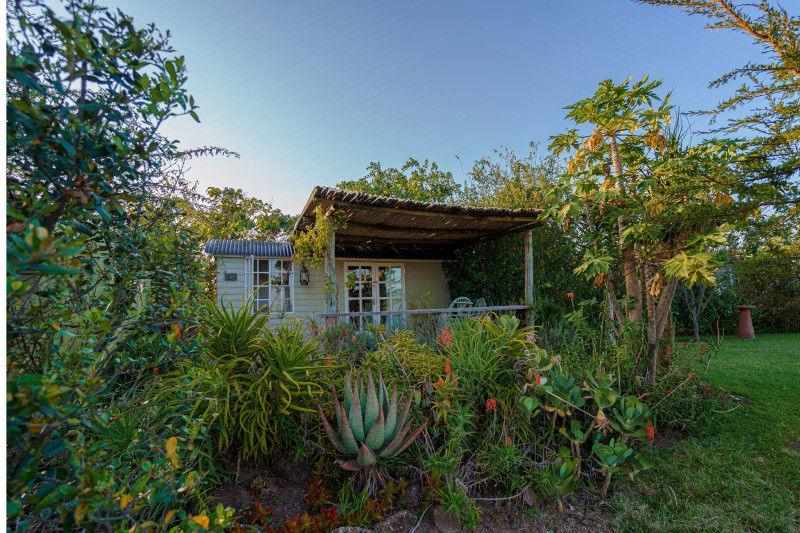 One Stop Nanyuki, Ivy Hut - image 1