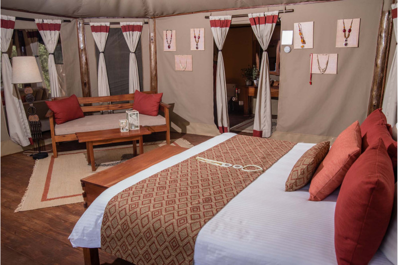 Elephant Bedroom Camp, Luxury Tent - image 2