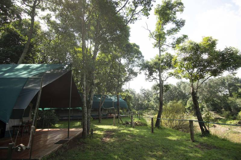 Governors’ Private Camp, Luxury Tent - image 1