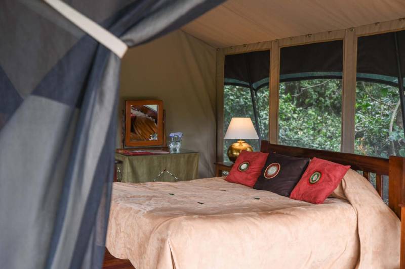Governors’ Private Camp, Luxury Tent - image 3