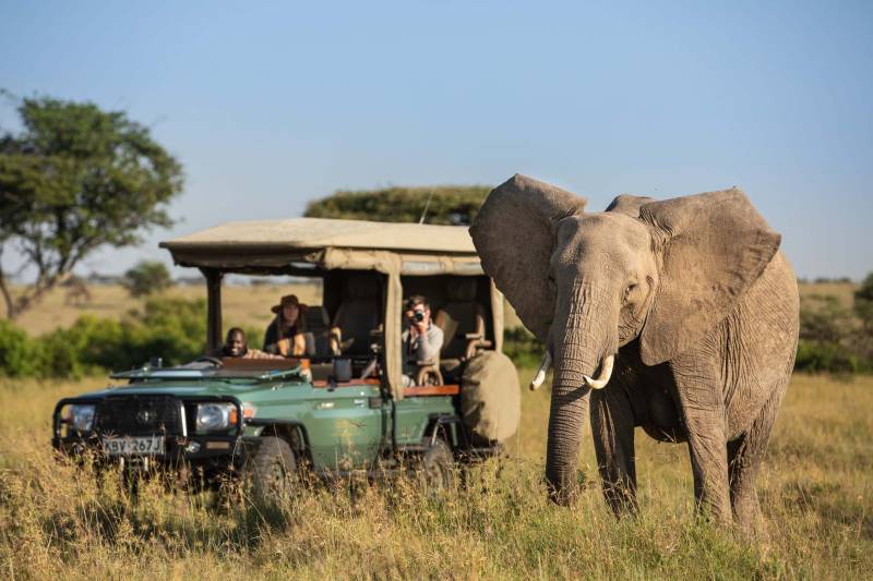 Great Plains Mara Expedition Camp - Photo 10