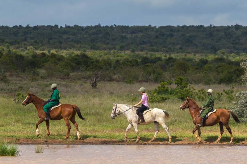 Elewana Loisaba Star Beds - Photo 12