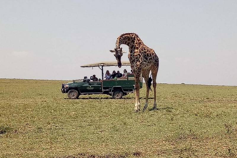 Elewana Sand River Mara - Photo 13