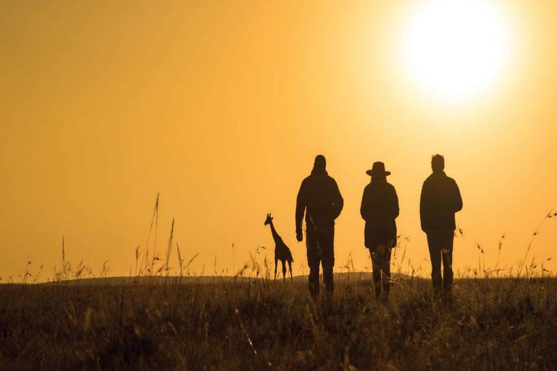 Great Plains Mara Plains Camp - Photo 13