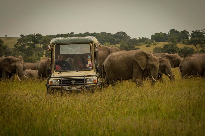 Karen Blixen Camp - Photo 12