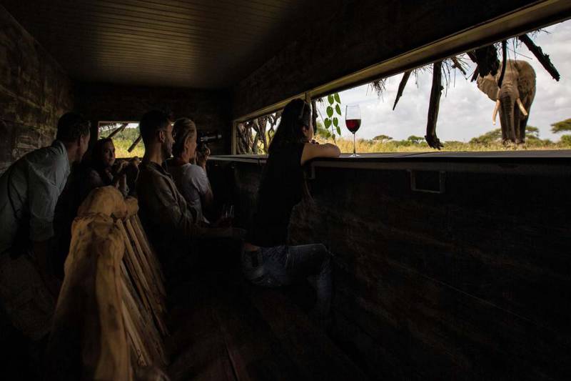 Great Plains Ol Donyo Lodge - Photo 15
