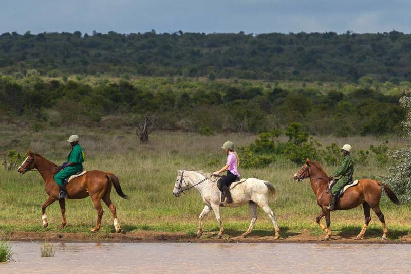 Elewana Loisaba Tented Camp - Photo 15
