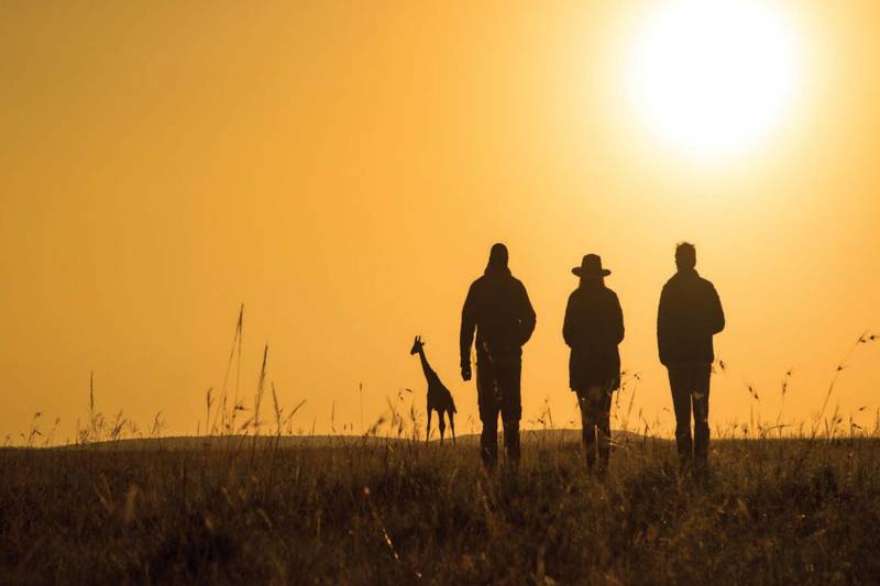 Great Plains Mara Nyika Camp - Photo 16