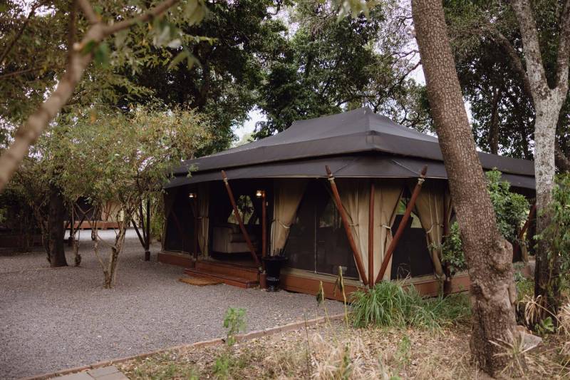 Elewana Sand River Mara - Photo 2
