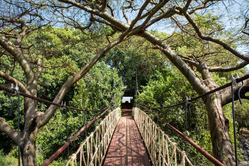 Great Plains Mara Plains Camp - Photo 2