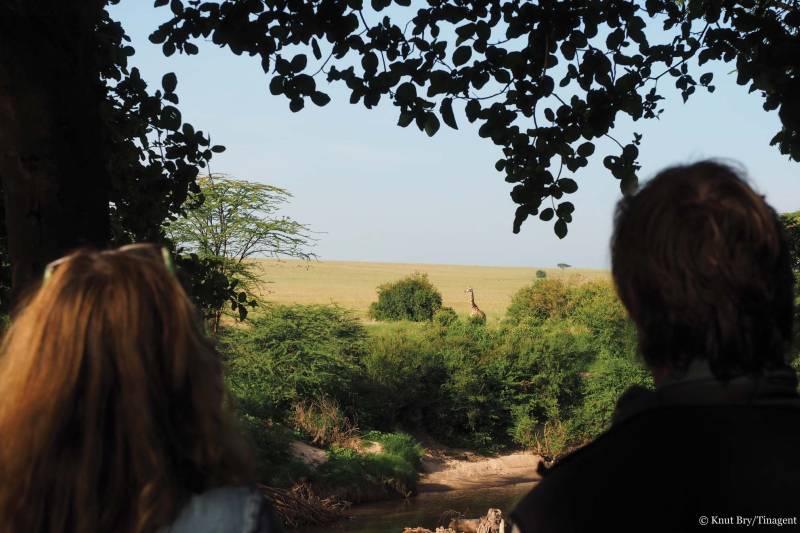 Basecamp Masai Mara - Photo 3