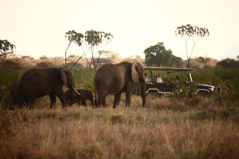 Elewana Elsa's kopje - Photo 4