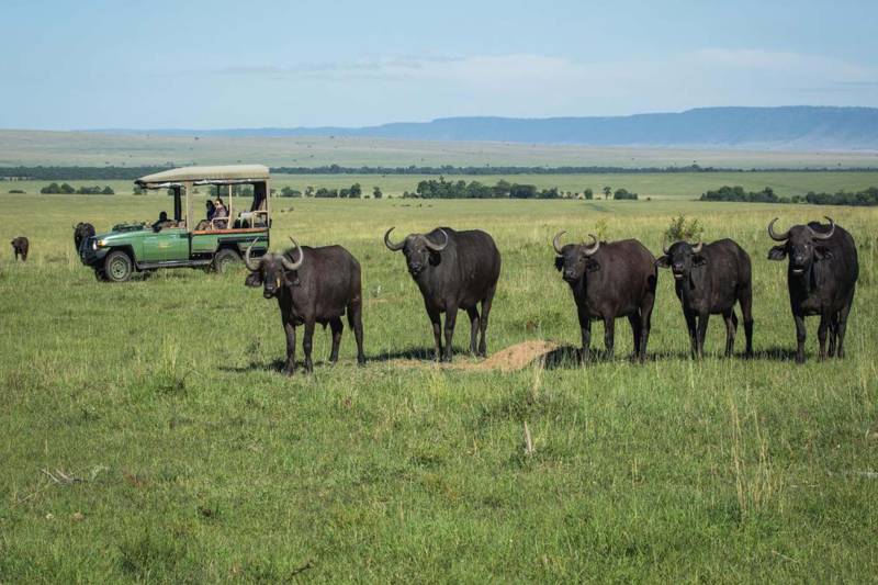 Great Plains Mara Plains Camp - Photo 5