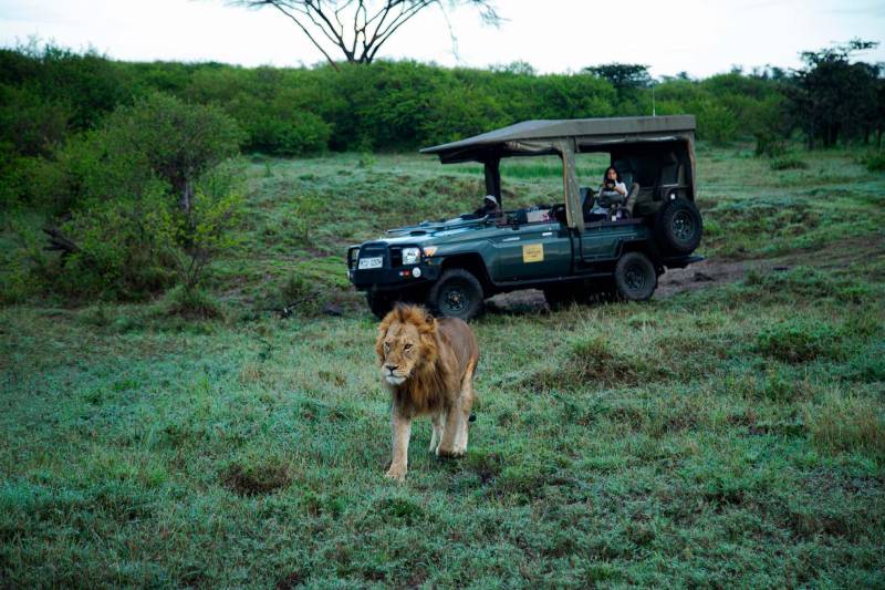 Great Plains Ol Donyo Lodge - Photo 5