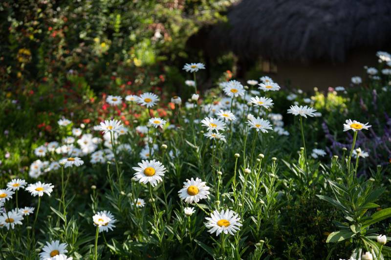Olepangi Farm - Photo 18