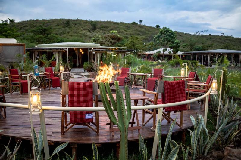 Zebra Plains Mara Camp - Photo 3