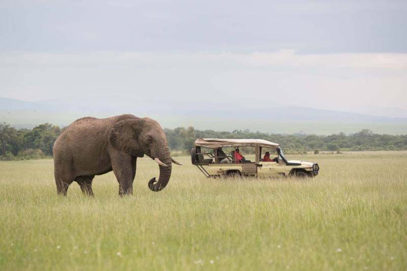 Mara Ngenche Camp - Photo 4