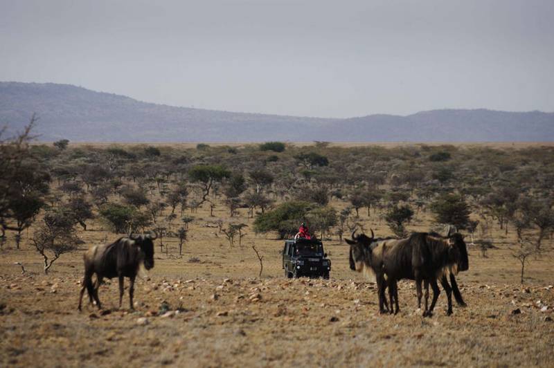 Olarro Plains by Hermes Retreats - Photo 6