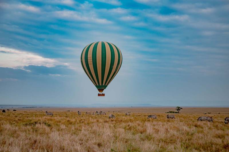 Zebra Plains Mara Camp - Photo 9