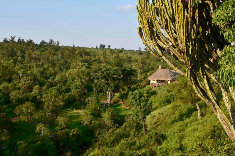 Olepangi Farm - Photo 19