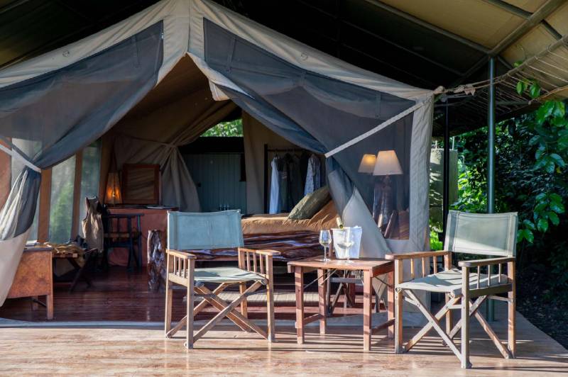 Governors’ Camp, Luxury Tent - image 3