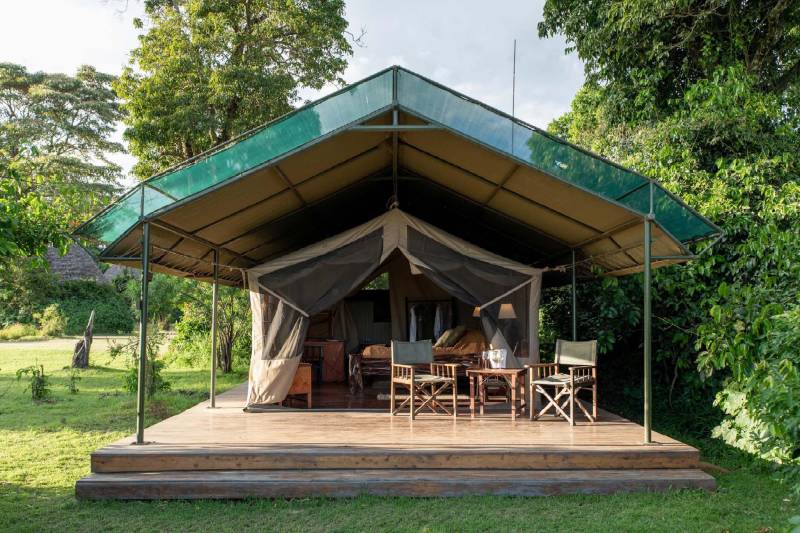 Governors’ Camp, Luxury Tent - image 2