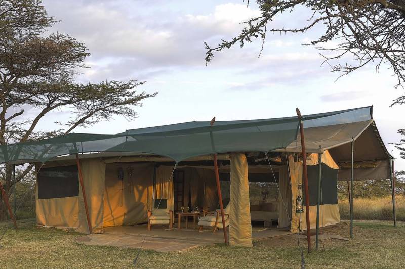 Kicheche Bush Camp, Tent - image 6