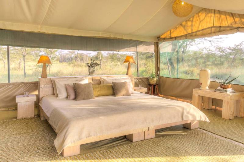 Kicheche Bush Camp, Tent - image 5