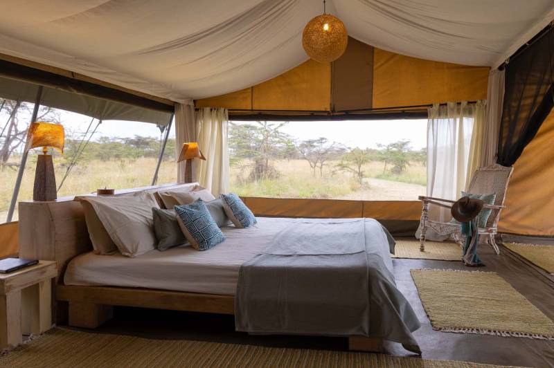 Kicheche Bush Camp, Tent - image 1